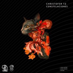 Download track Osa Menor (Original Mix) Christofer Tz