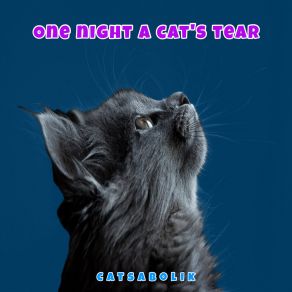 Download track Stuck In The Door Catsabolik