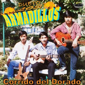 Download track Elenita Dueto Los Armadillos