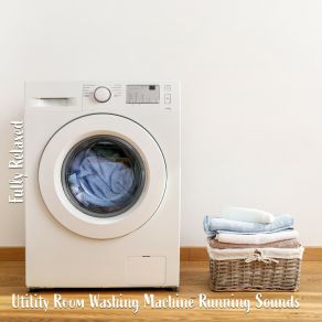 Download track Utility Room Washing Machine Running Sounds, Pt. 5 Steve Brassel