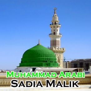 Download track Jidhar Jidhar Bhi Gaye Sadia Malik