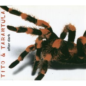 Download track After Dark (Single Version) Tito & Tarantula