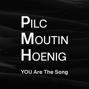 Download track The Song Is You Jean-Michel PilcAri Hoenig, Francois Moutin