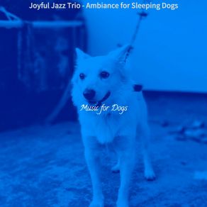 Download track Dashing Ambience For Dogs Music For Dogs