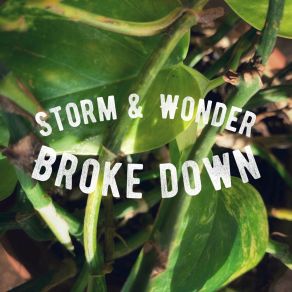 Download track Broke Down Storm & Wonder