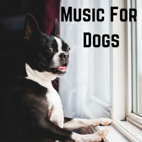 Download track Music For Meditation Music For Dogs Peace