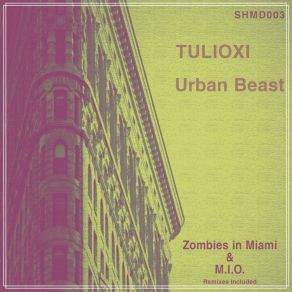 Download track Time Time Damn! (M. I. O. Remix) Tulioxi