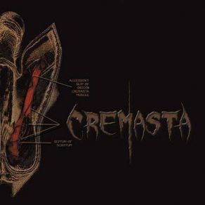 Download track The End's Always The Same Cremasta