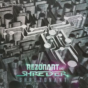 Download track Trancemitter (Original Mix) Rezonant