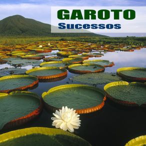 Download track Abismo De Rosas Garoto