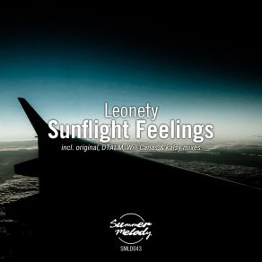 Download track Sunflight Feelings (DTALM Remix) LeonetyDtalm