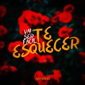 Download track Vai Ser Fácil Te Esquecer (Ao Vivo) Mc Zinho