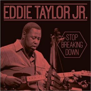 Download track The Sky Is Crying Eddie Taylor Jr