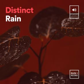 Download track Synchronize Rain Always Raining