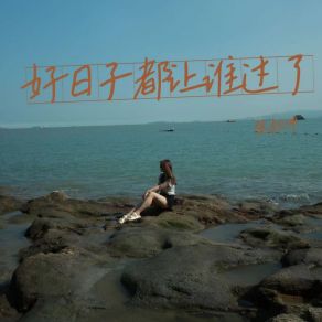 Download track 好日子都让谁过了 张叔坤