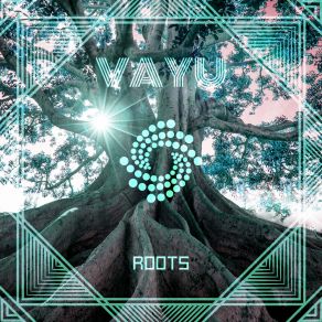 Download track Roots (Original Mix) Vayu