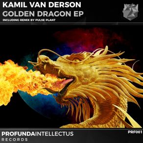 Download track Golden Dragon (Pulse Plant Remix) Kamil Van Derson