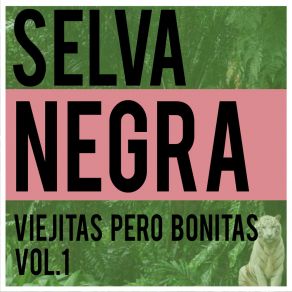 Download track Amiga Mía Selva Negra