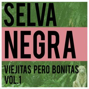 Download track Recuerdos De Un Amor Selva Negra