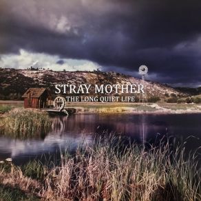 Download track It's Not Your Fault Stray Mother