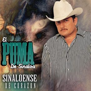 Download track Quinceanera (Version Banda) El Puma De Sinaloa