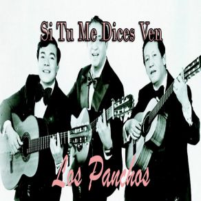 Download track No Trates De Mentir Los Panchos