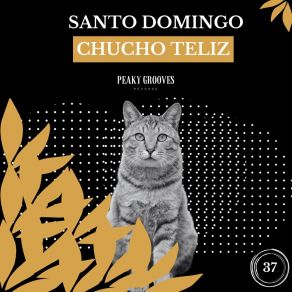 Download track Santo Domingo (Original Mix) Chucho Teliz