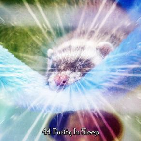 Download track Spiritual Dream White Noise For Baby Sleep