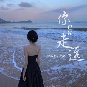 Download track 你已经走远 (Dj彭锐版伴奏) Pang Qiu Yu彭锐