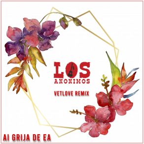 Download track Ai Grija De Ea (VetLove Radio Edit) LOS ANONIMOSVetLove