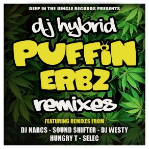 Download track Puffin Erbz (Dj Westy Remix) DJ Hybrid