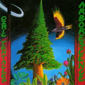 Download track Astro Cortex Ozric Tentacles