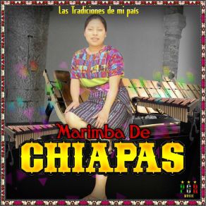 Download track Bonita Pero Mentirosa Marimba De Chiapas