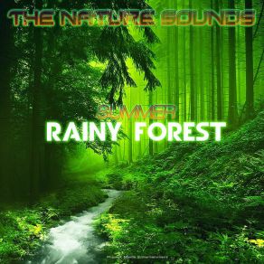 Download track Summer Rainy Forest-2 Nature Sounds