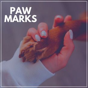 Download track Calming Music For Stressed Dogs, Pt. 10 Sleeping Music For Dogs