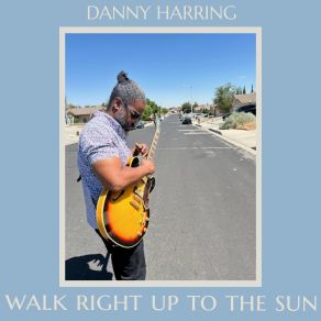 Download track The Night Sky Was A Black Silk Dress Danny Harring