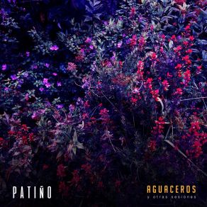 Download track Aguacero (Sesión En Berklee) Patino