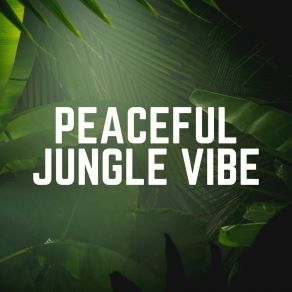 Download track Jungle Bird Sounds Nature Soundscapes