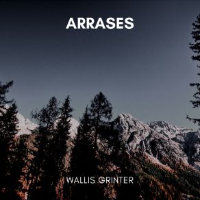 Download track Accidentals Wallis Grinter