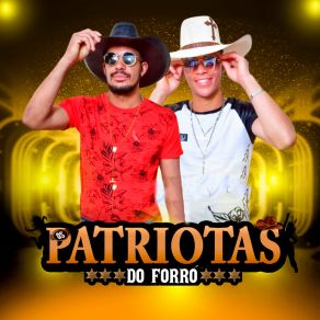 Download track Ilusão De Amor Os Patriotas Do Forró