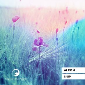 Download track Snip (Kamron Schrader Remix) Alex HKamron Schrader