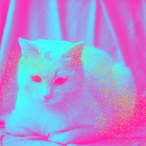 Download track Hypnotic Moods For Friendly Cats Calming Cat Music