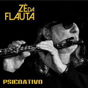 Download track Surubinamente Zé Da FlautaGilú Amaral, Tovinho