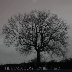 Download track Exhibit 1 The Black Dog