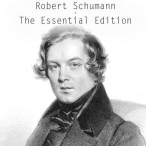 Download track Romanzen Und Balladen II, Op. 49: No. 1, Die Beiden Grenadiere Martha Argerich, Andor Foldes, Samuil FeinbergPeter Anders, Hubert Giesen