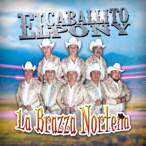 Download track El Frijolito / Canción De Amor La Brazza NortenaManuel El Indio Ortega