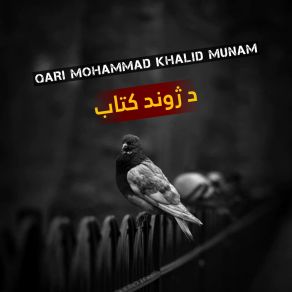 Download track فضل او کرم دي Qari Mohammad Khalid Munam