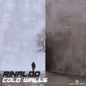 Download track Cold Walls (Radio Edit) Rinaldo