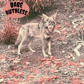 Download track Robber Babe Ruthless