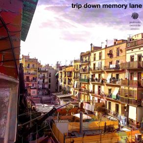 Download track Trip Down Memory Lane The ArsonistPapilla